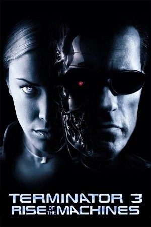 Terminator 3: Rise of the Machines 2003 Hindi